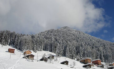 16-18 OCAK 2025 KARLAR İÇİNDE UZUNGÖL & AYDER  TURU