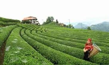 04-10 HAZİRAN 2026 BOYDAN BOYA BATI-DOĞU KARADENİZ &BATUM TURU