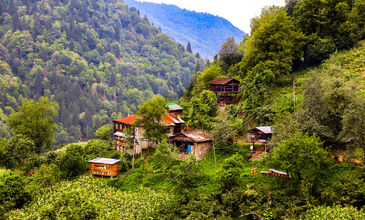 06-12 AĞUSTOS 2026 BOYDAN BOYA BATI-DOĞU KARADENİZ TURU