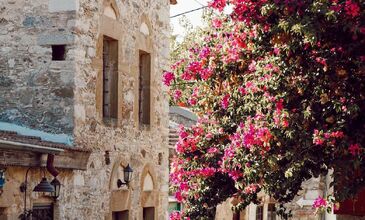 DATÇA BADEM ÇİÇEĞİ FESTİVALİ TURU