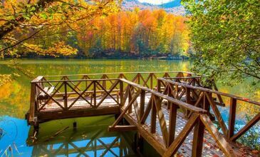 01-03 MAYIS 2026 ABANT & YEDİGÖLLER & GÖLCÜK&ORMANYA&MAŞUKİYE&BURSA TURU