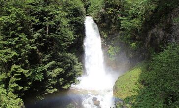 BAMBAŞKA KARADENİZ YAYLALARI TURU