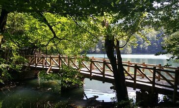 28-30 AĞUSTOS 2026  ABANT YEDİGÖLLER TURU