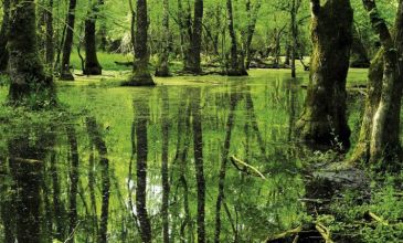 BAMBAŞKA MUHTEŞEM TRAKYA TURLARI