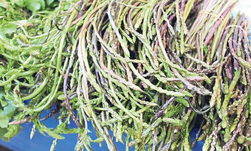 28 MART 2026 BODRUM ACI OT FESTİVALİ & SÖKE NOVADA  OUTTLET AWM  TURU